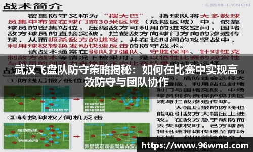 武汉飞盘队防守策略揭秘：如何在比赛中实现高效防守与团队协作