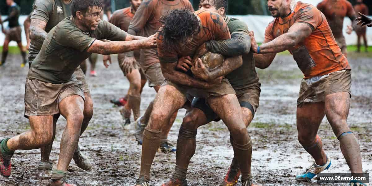 解读一竞技官网